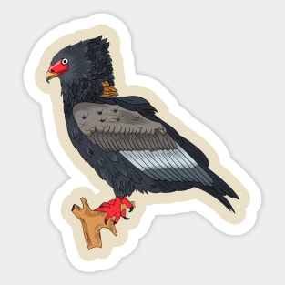 Bateleur Eagle illustration Sticker